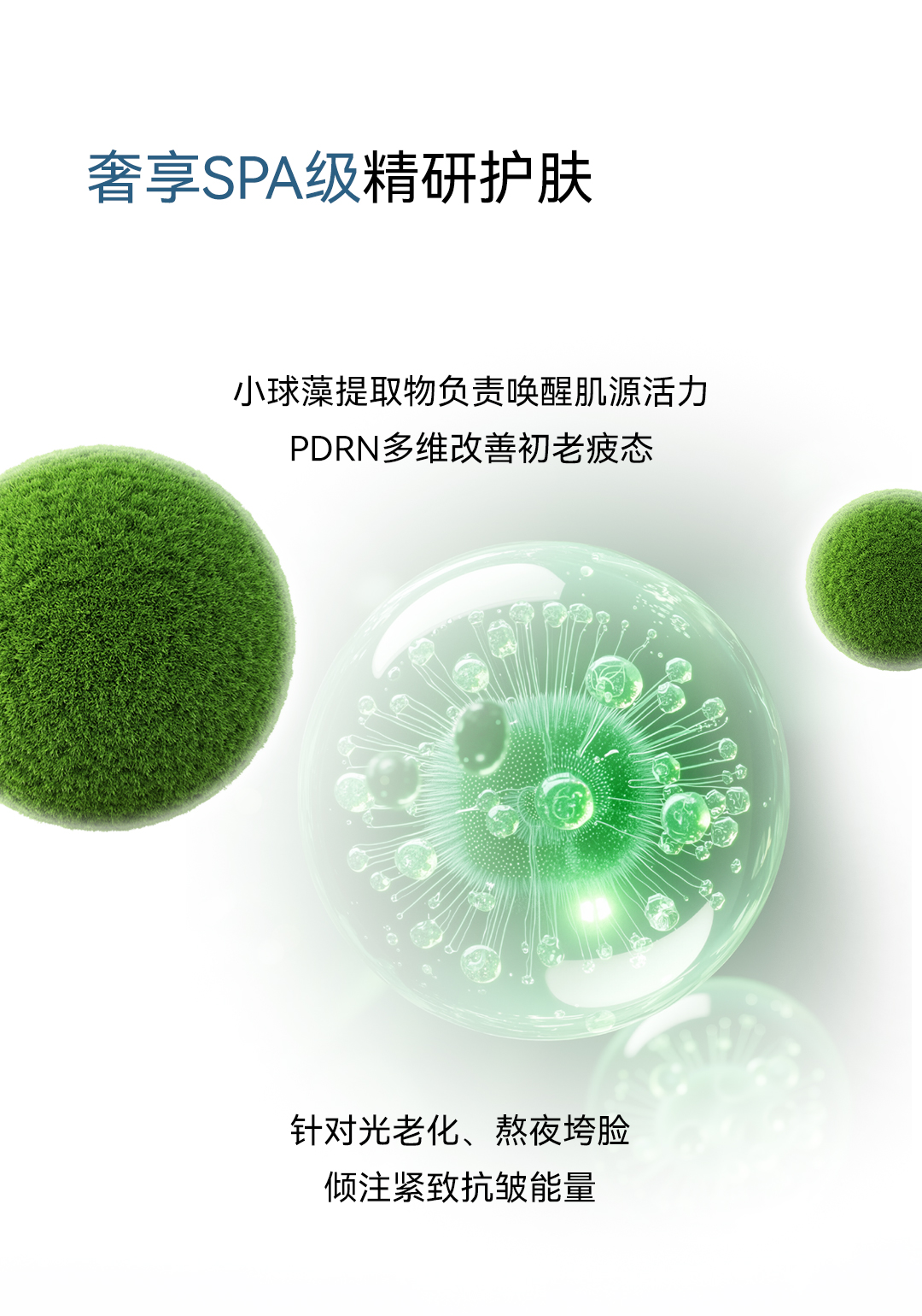 珍宝肌光舒缓抗皱精华液产品详情 7